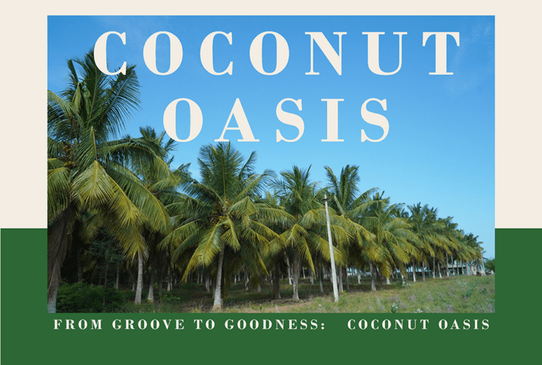 From Groves to Goodness: The Coconut Oasis at Our 15-Acre Farm